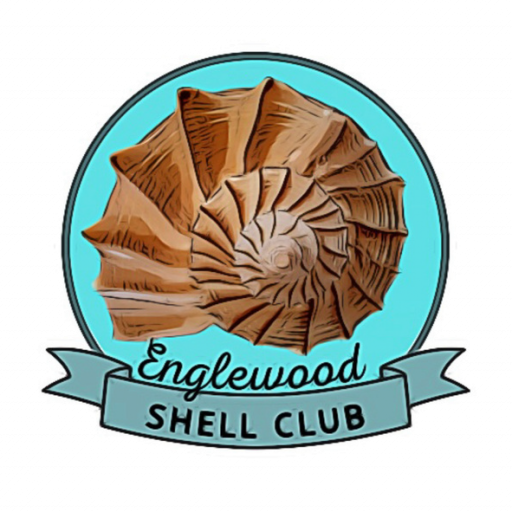 Englewood Shell Club